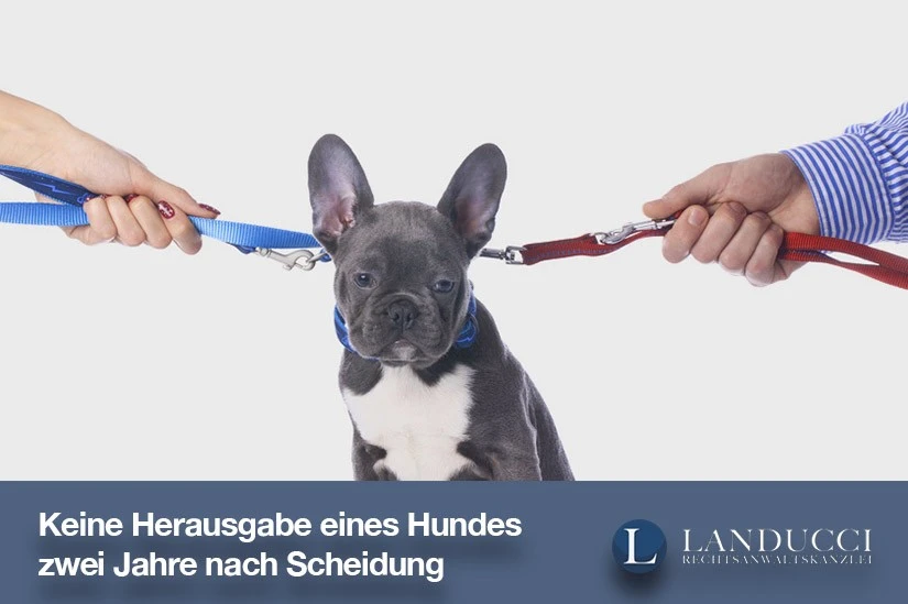 Keine Herausgabe eines Hundes zwei Jahre nach Scheidung